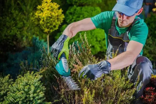 landscaping services West Lafayette